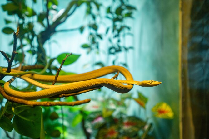 Full Day Pass Angkor Wildlife and Aquarium - Siem Reap - Value and Conservation: Why This Ticket Feels Different