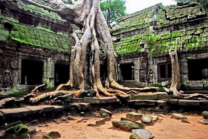 Full-day Private VIP Tour to Angkor Complex - When the Day Feels Car-Heavy, and How to Prevent That