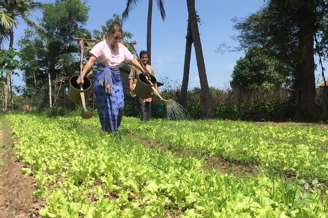Full Day Siem Reap Farm Tour with Cooking Class and Monk Blessing - Key Things That Make This Tour Worth Your Time