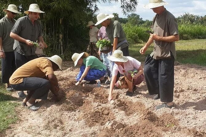 Full Day Siem Reap Farm Tour with Cooking Class and Monk Blessing - The Cooking Class: Turning Fresh Ingredients into Lunch