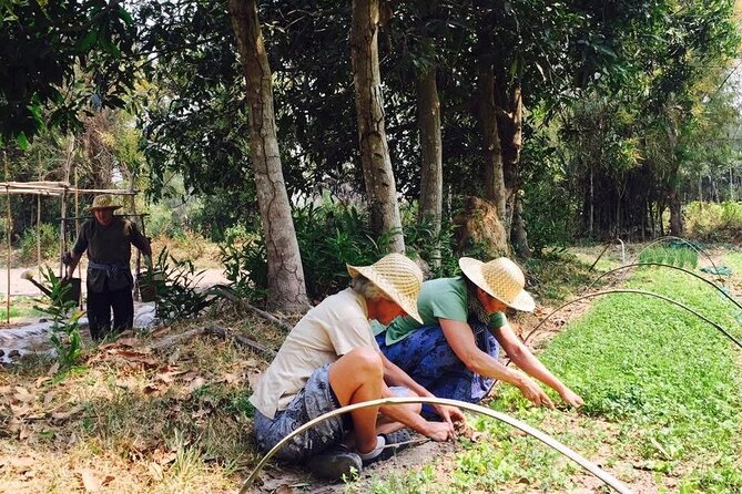 Full Day Siem Reap Farm Tour with Cooking Class and Monk Blessing - Hands-On Farming in the Rural Commune