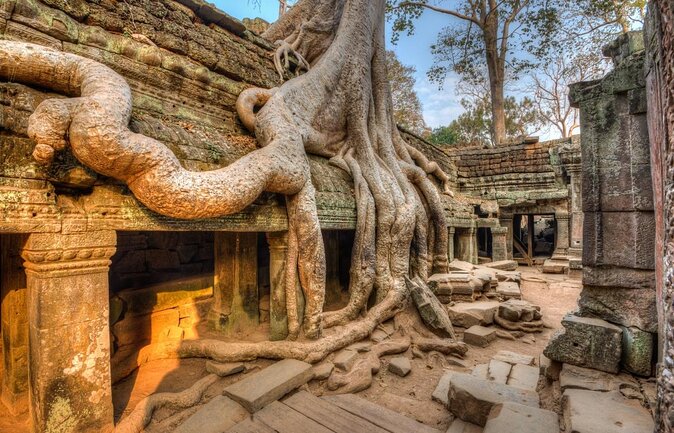 Full Day Small Group Tour Guide with Sun rise - Key Things You’ll Notice on This Angkor Tour