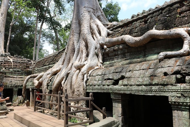 Full Day Temples Explorer - Small Group - Ta Prohm: the jungle, the ruins, and why it feels strangely alive