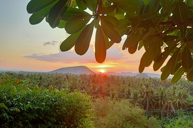 Full Day tour .City tour.Countryside.Bamboo Train.Secret Bat Cave - Battambang’s French architecture, plus the stories that explain it