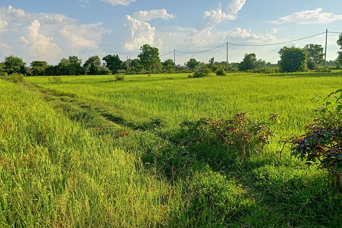 Full Day tour .City tour.Countryside.Bamboo Train.Secret Bat Cave - Bamboo Train options: do you want the extra villages ride?