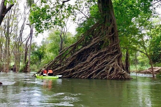 Full Day Tour from Siem Reap - Bamboo Train, Killing Cave & Sunset - Price and Value: What $130 Gets You (and Why It Can Be Worth It)