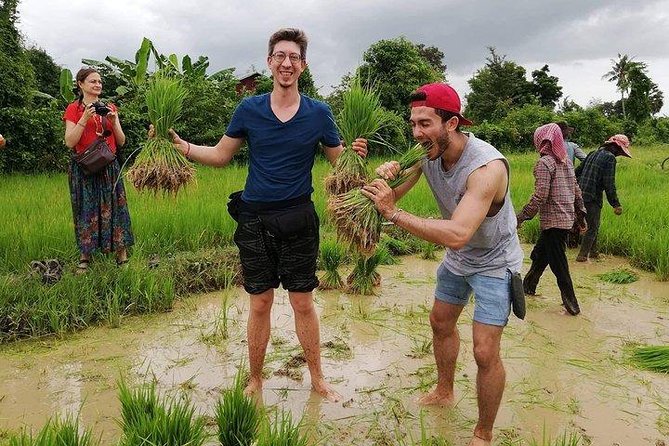 Full-day: Wat Banan. Old bamboo train. Bat Cave. Killing cave - Getting rolling: mountain bikes, helmets, and a realistic pace
