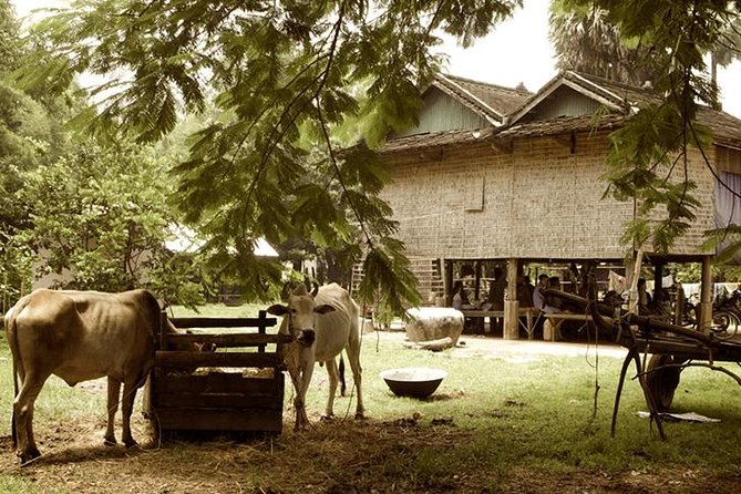Full-day: Wat Banan. Old bamboo train. Bat Cave. Killing cave - Battambang town stops: quick history, real walking, less waiting