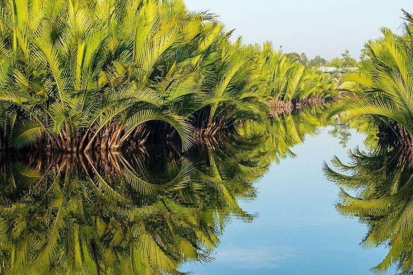 Green Cathedral Kayaking Journey & Reflection River View - Swimming and hammocks: the calm break that makes the tour feel like a getaway