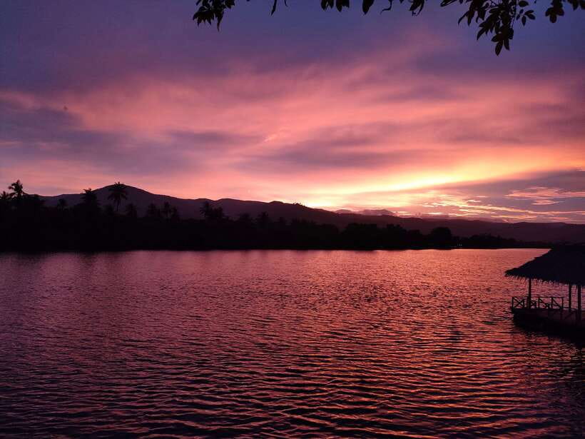 Green Cathedral Kayaking Journey & Reflection River View - Price and value: what $28 buys you in the Kampot jungle
