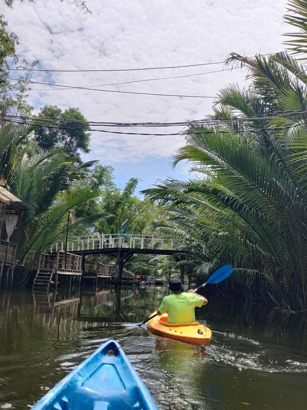 Green Cathedral Kayaking Journey & Reflection River View - Who should book this kayaking journey, and who might not love it