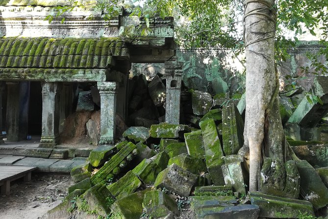 Half Day Angkor Wat Sunrise Private Tour - Angkor Wat in practice, what you’re really there to see
