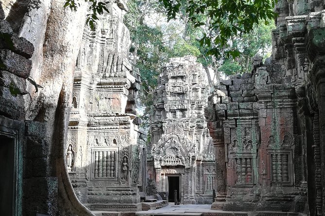 Half Day Angkor Wat Sunrise Private Tour - The guide effect: why names like Paat and Bunpheng matter