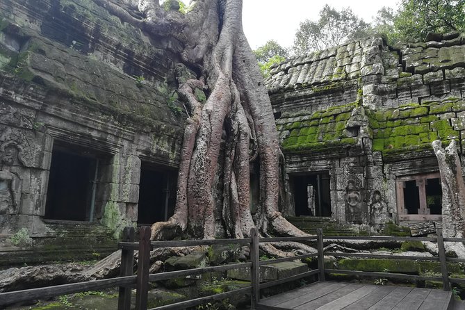 Half Day Angkor Wat Sunrise Private Tour - Ta Prohm at opening time, Tomb Raider fame with less rush