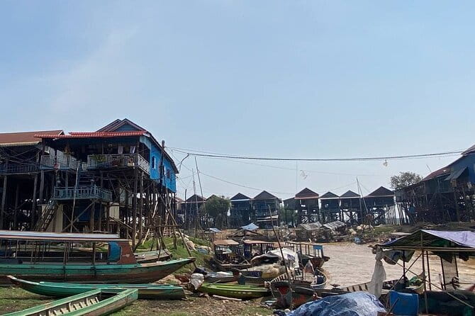 Half Day Kampong Phluk Floating Village and Flooded Forest Tour - Stop 2: Kompong Phluk for the Flooded Mangrove Forest Experience