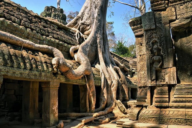 Half Day River Monster Tour with Private Guide in Siem Reap - Timing that fits real vacation schedules