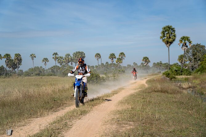 Half Day Siem Reap Off-Road Ride Tour - Chreav rice fields photo stop: a calm ending after the rough stuff