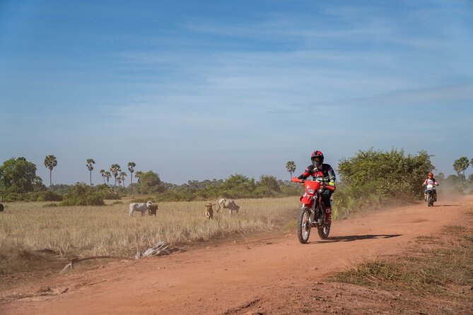 Half Day Siem Reap Off-Road Ride Tour - Price and value: $65 for a guided dirt bike experience