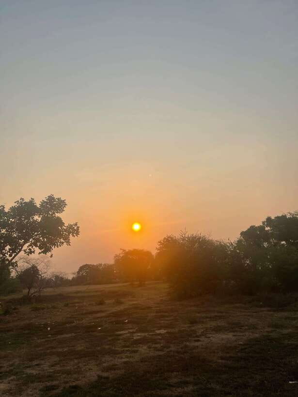 Half-day swing bridge, bamboo train, batcave & Killing cave - Summit Views and Monkey Time: The Bright Pause After Darkness