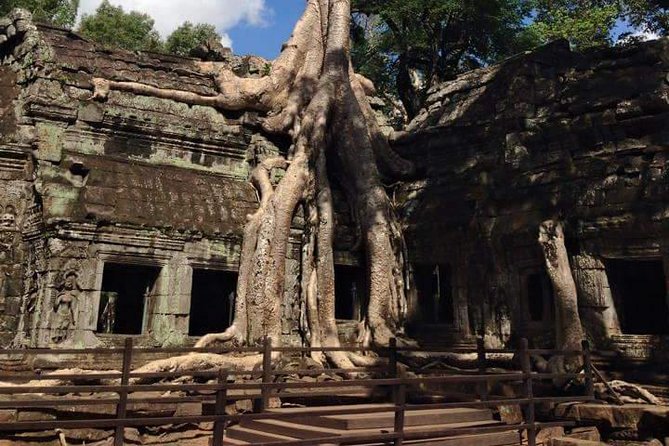 Half-Day Ta Prohm and Banteay Kdei Tour - Why Ta Prohm and Banteay Kdei make sense as a half-day