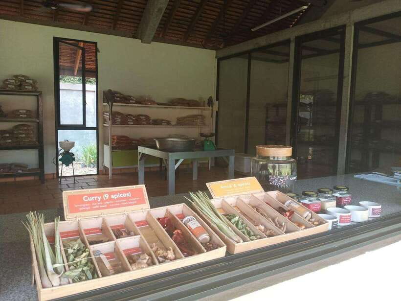 Half Day Trip: Silk Farm, Satcha, and Senteur d'Angkor Tour - Artisan dAngkor: where the handicrafts feel most grounded