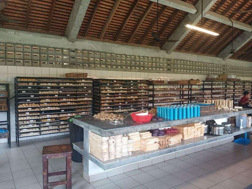 Half Day Trip: Silk Farm, Satcha, and Senteur d'Angkor Tour - Who should book this tour