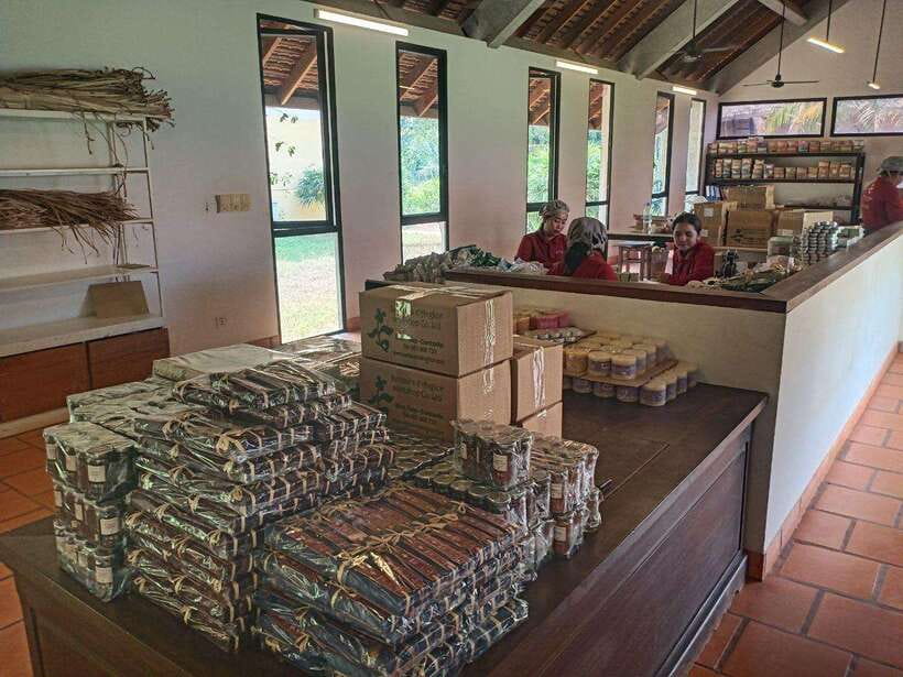 Half Day Trip: Silk Farm, Satcha, and Senteur d'Angkor Tour - SilkFarm: mulberry leaves, silkworms, and the weaving step