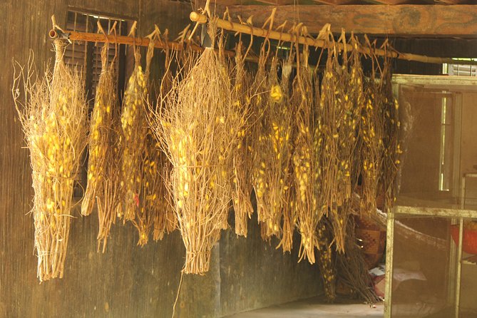 Island Community Life in Phnom Penh - Price and value: what $172 buys you in Phnom Penh