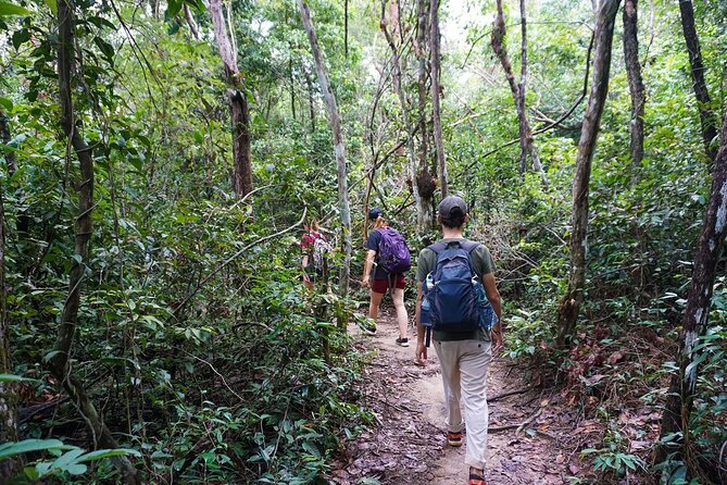 Jungle Trekking Tour at Phnom Kulen National Park from Siem Reap - The walking route and difficulty: what to expect on the trail
