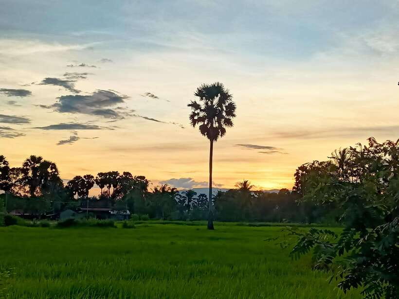 Kampot Countryside include Pepper farm,Kep crab market beach - Key things that make this tour worth your time