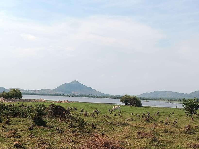 Kampot Countryside include Pepper farm,Kep crab market beach - Pepper plantation tour and peppercorn testing: where you taste what you learned