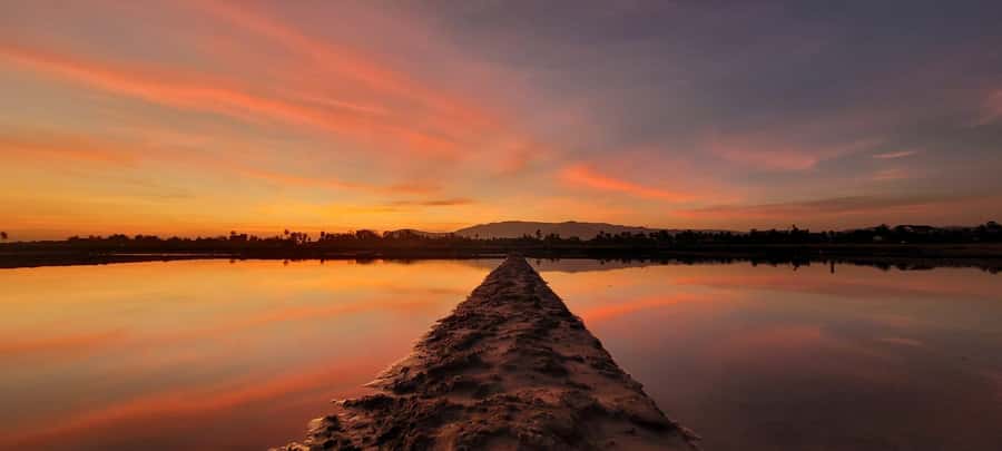 Kampot Countryside include Pepper farm, Salt field & Lake - La Plantation Pepper Farm: Free Tour, Pepper Testing, and Samples