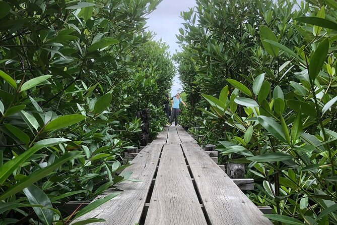 Kampot Countryside Tour - Pepper Farm, Salt Lake, Caves, and more - Small-Group Comfort, Pickup, and How the Day Flows