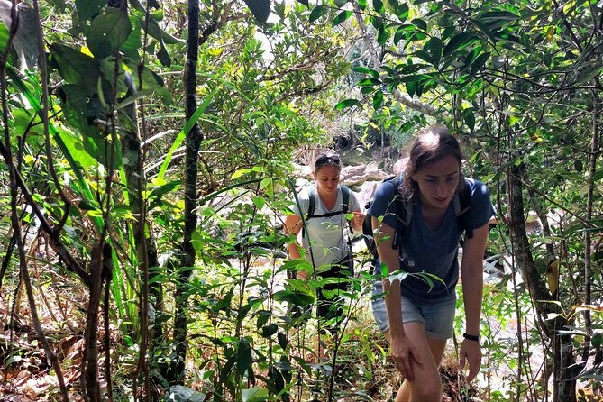 Kampot Day Tour "Bokor National Park" - Wat Sampov Pram hilltop temple and its stair climb rhythm