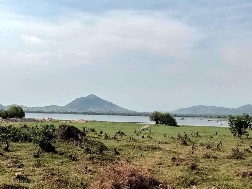 Kampot: Full-day Countryside Tour with Pepper Farm and Kep - Should You Book This Kampot and Kep Countryside Tour?