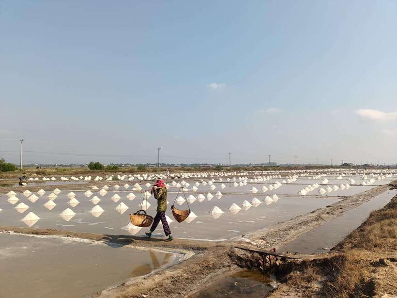 Kampot: Full-day Countryside Tour with Pepper Farm and Kep - Kep Crab Market, a French-Era Abandoned Building, and Beach Time