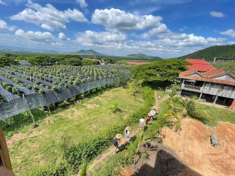 Kampot Pepper Farm, Salt Fields, Crab Market from Phnom Penh - Phnom Chhngok Cave: limestone shapes and historical weight