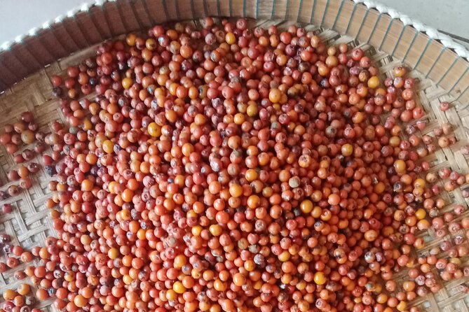 KAMPOT- Pepper farm ..salt fields.Kep/Crab market & more........ - A Tuk-Tuk Country Day Around Kampot and Kep