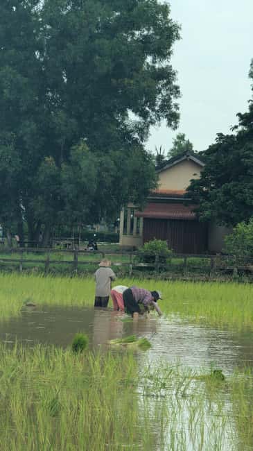 Kampot Pepper & Kep/Crab Market Tours: Salt, Secret lake - Traditional Village Stops: Rice Fields, Everyday Life, and Less Scripted Tourism