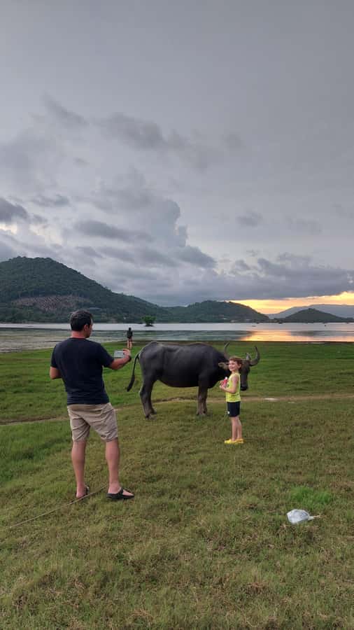 Kampot's Countryside & Kayak Tour, Pepper Farm include Lunch - Lunch included, vegetarian friendly, and best eaten with a little planning