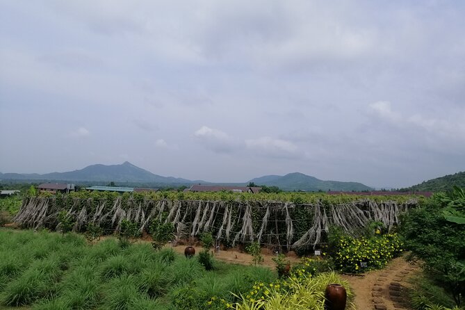 Kampot Tour Pepper Plantation, Salt Field, Cave, Secret Lake - Phnom Chhngok Cave Temple: Steps, Heat, and a Safety Mindset