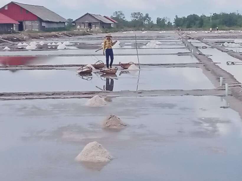 Kampot: Tuk Tuk Trip to Pepper Farm, Kep, Crab Market & More - Start in the salt fields, where the work is the show