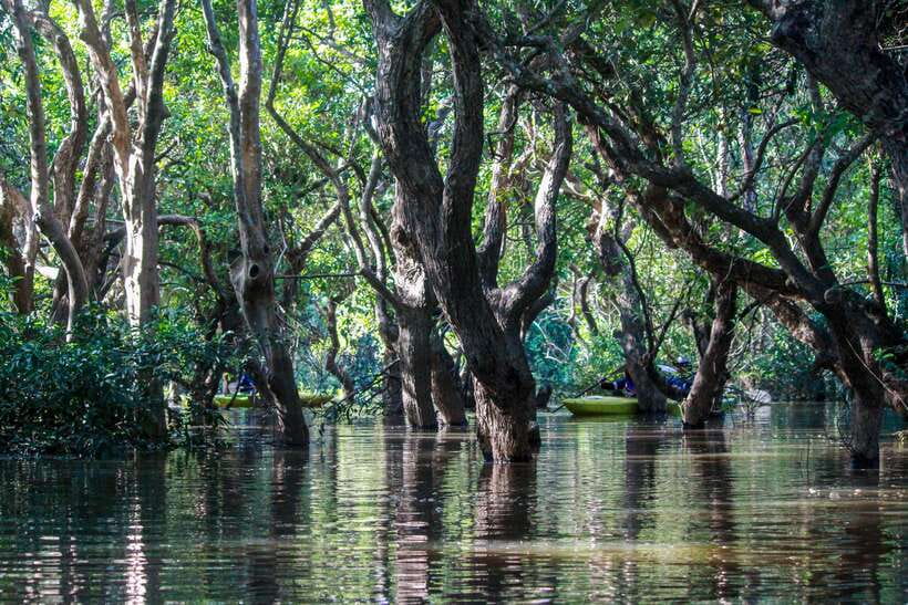 Kayaking & Floating Village in Siem Reap - Price and Value: Is $88 a Fair Deal for 6 Hours?