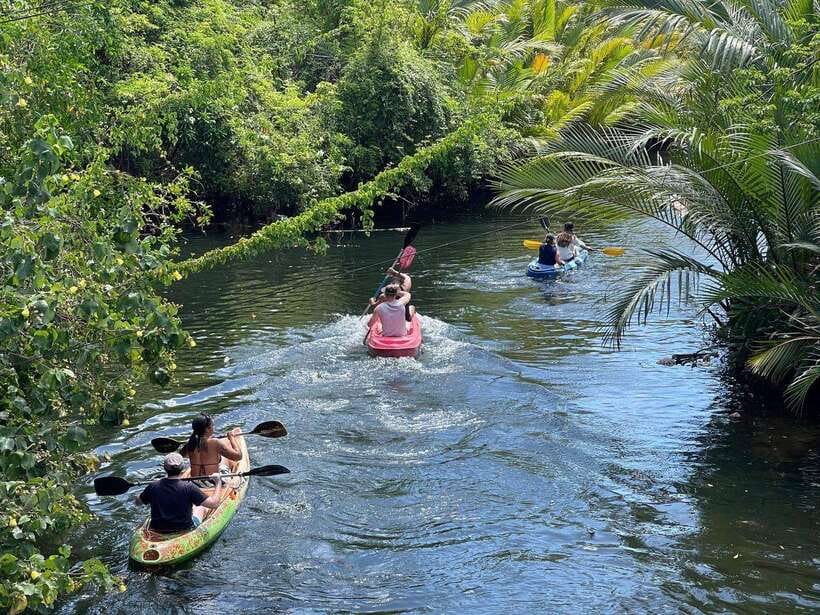Kayaking tour around green cathedral - Two Hours on the Water: Nipa Palms, Jungle Quiet, and Guided Photo Stops