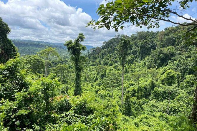 Kbal Spean Lingar River, Banteay Srei Temple & Pre Rup Tour - Kbal Spean: the 42 km ride north, then a 3 km uphill forest walk