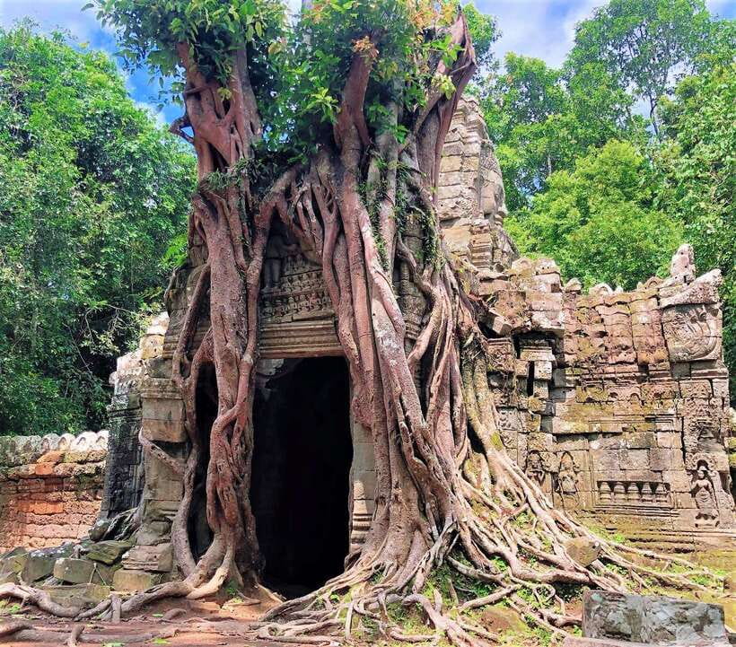 Kbal Spean Trekking Tour with Banteay Srei & Landmine Museum - Banteay Srei in pink sandstone: the reliefs do the talking