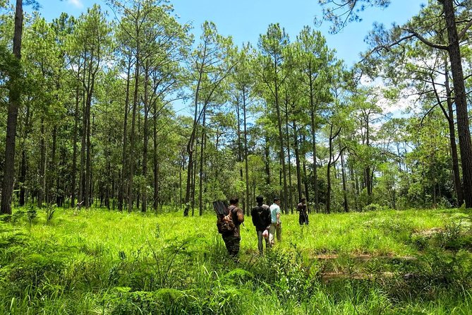 Kirirom National Park Private Day Tour from Phnom Penh - Getting out of Phnom Penh: the Kirirom drive and why the timing helps