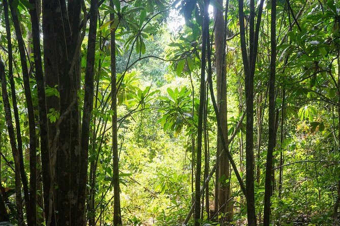 Kirirom National Park Private Day Tour from Phnom Penh - Price and value: $127 per person, what is included, and what to budget