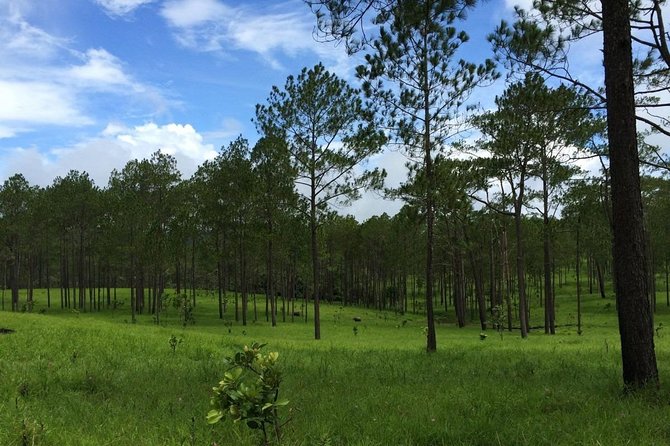 Kirirom National Park Private Day Tour from Phnom Penh - What kind of traveler should book this Kirirom and Chambok day?