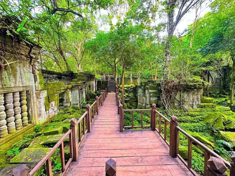 Koh Ker & Beng Mealea Temple Guided Tour - Key Points I’d Use to Choose This Tour